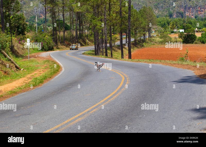 Chicken road casino, juego chicken road